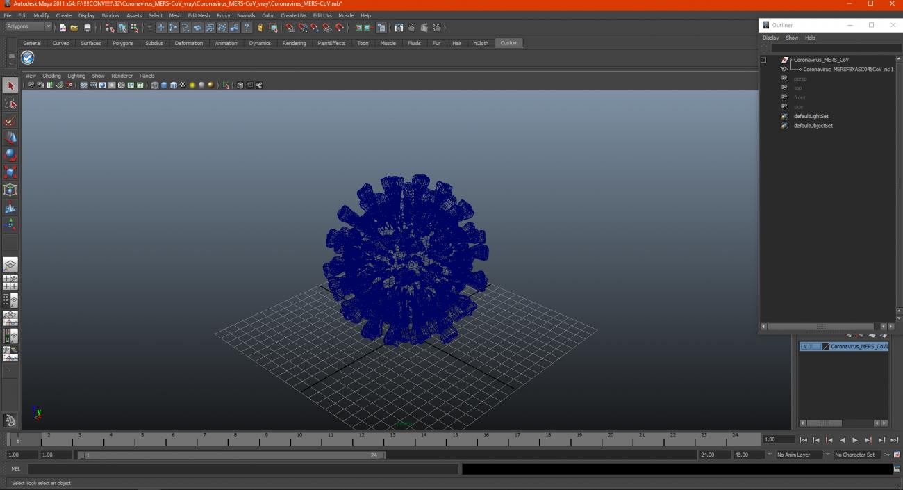 3D model Coronavirus MERS-CoV