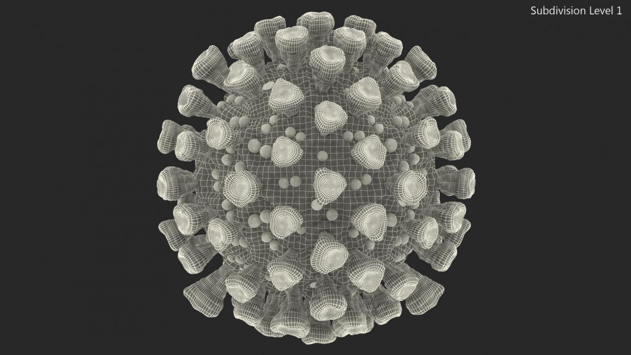 3D model Coronavirus MERS-CoV