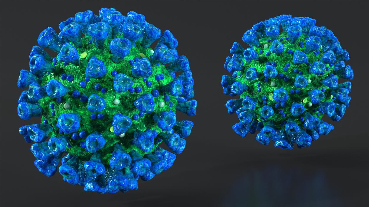 3D model Coronavirus MERS-CoV