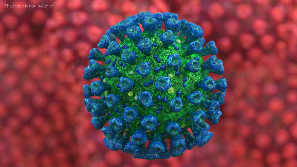 3D model Coronavirus MERS-CoV