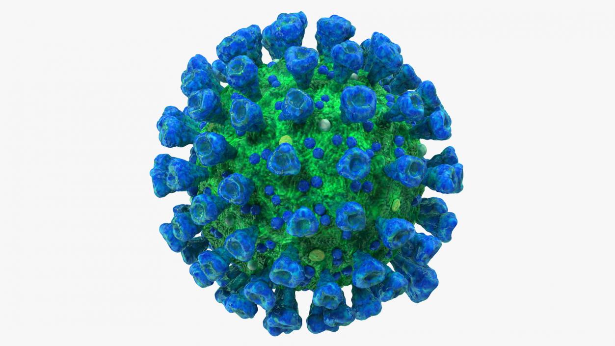 3D model Coronavirus MERS-CoV