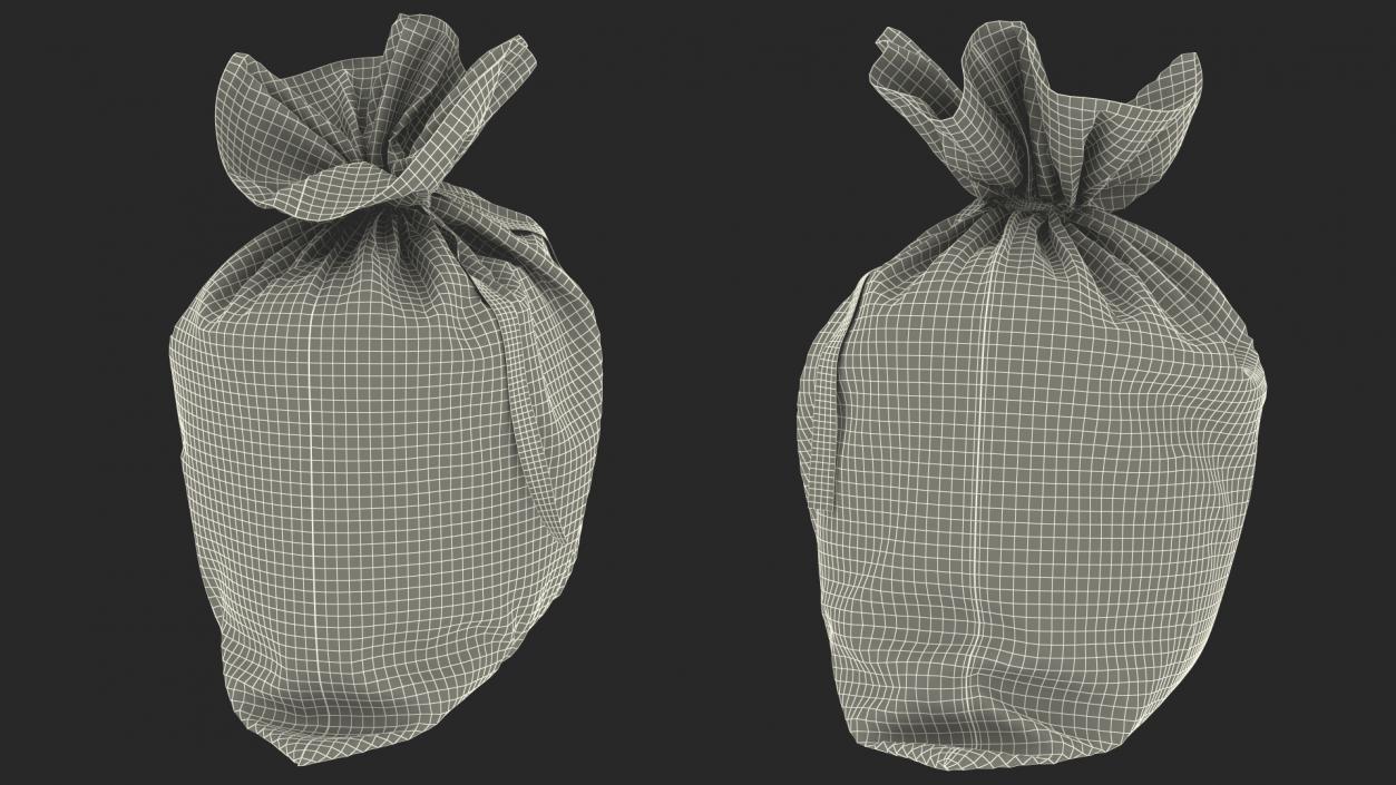 Money Bag Stellar 3D