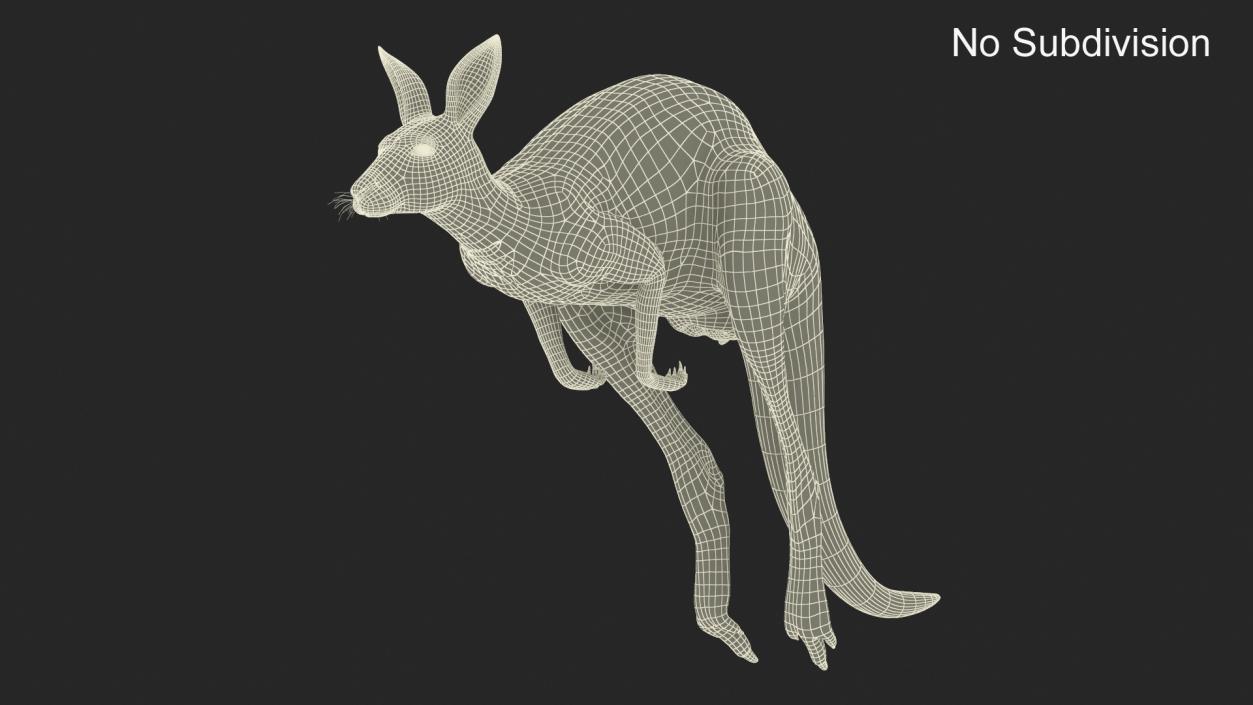 3D model Kangaroo in Motion 2