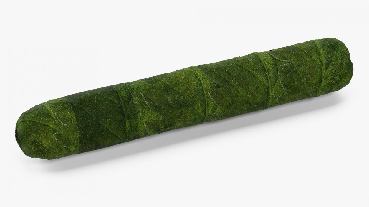 Cannabis Cigar 3D model