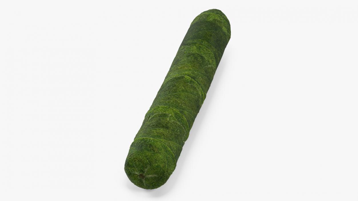 Cannabis Cigar 3D model