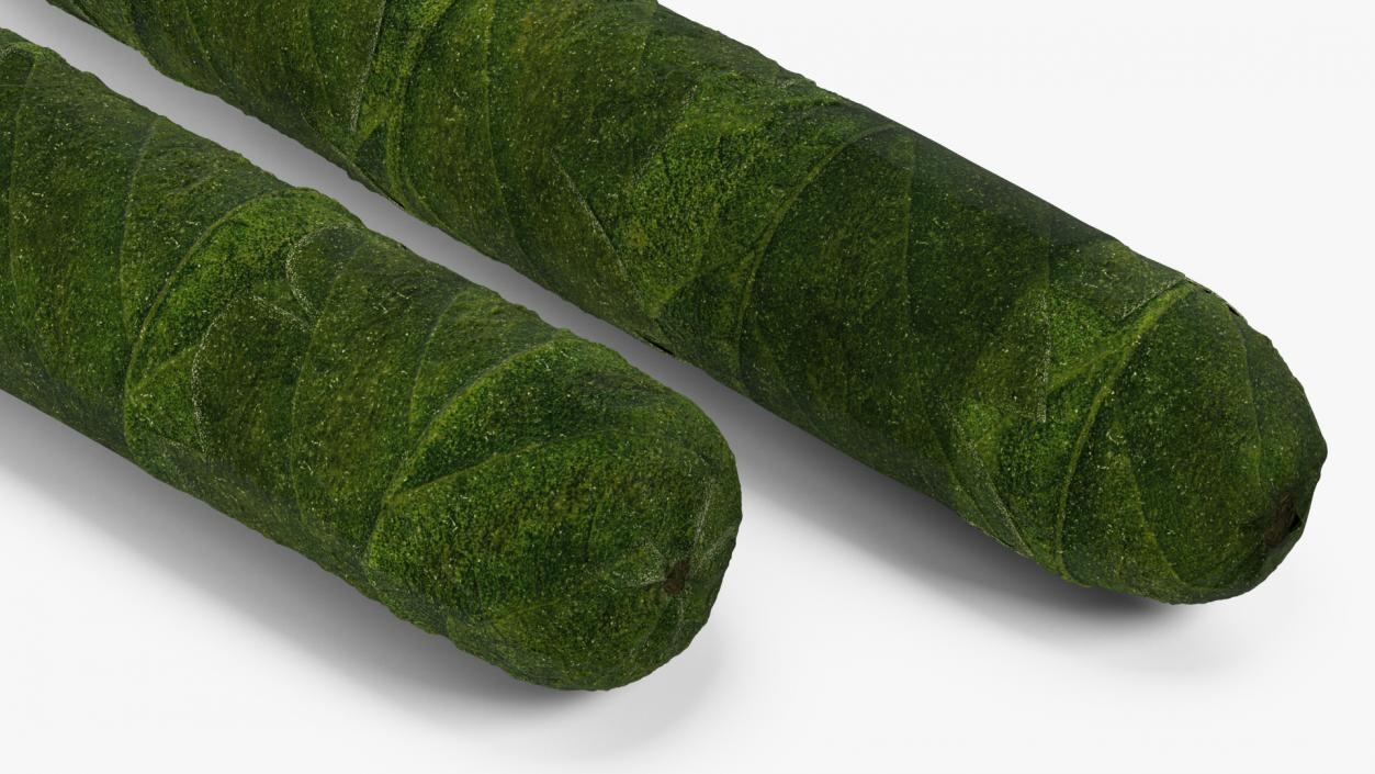 Cannabis Cigar 3D model