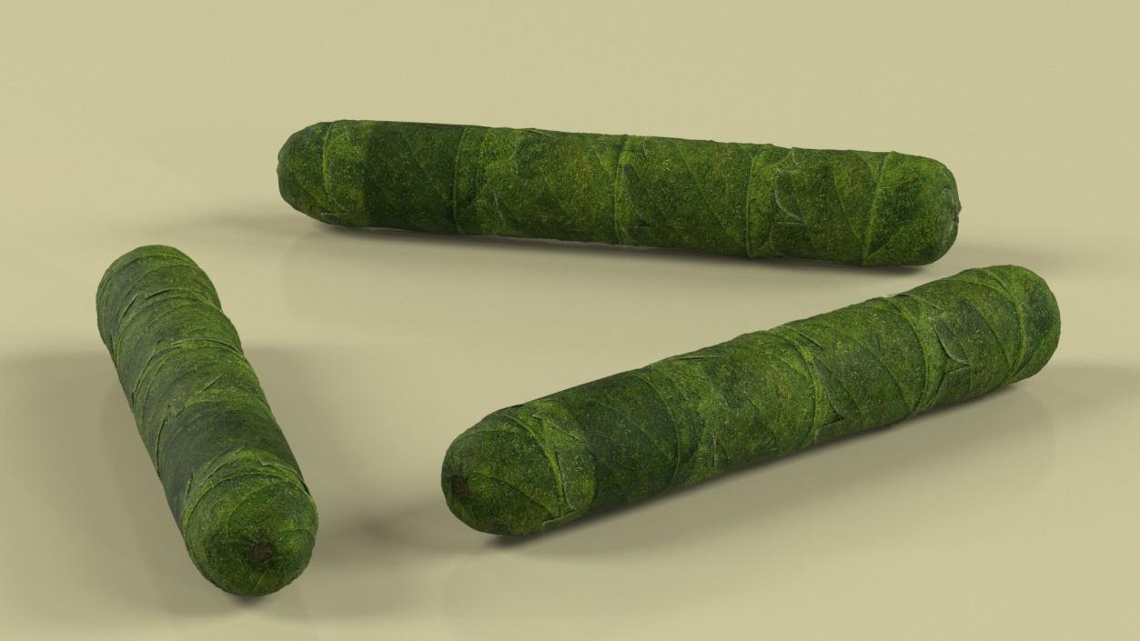 Cannabis Cigar 3D model