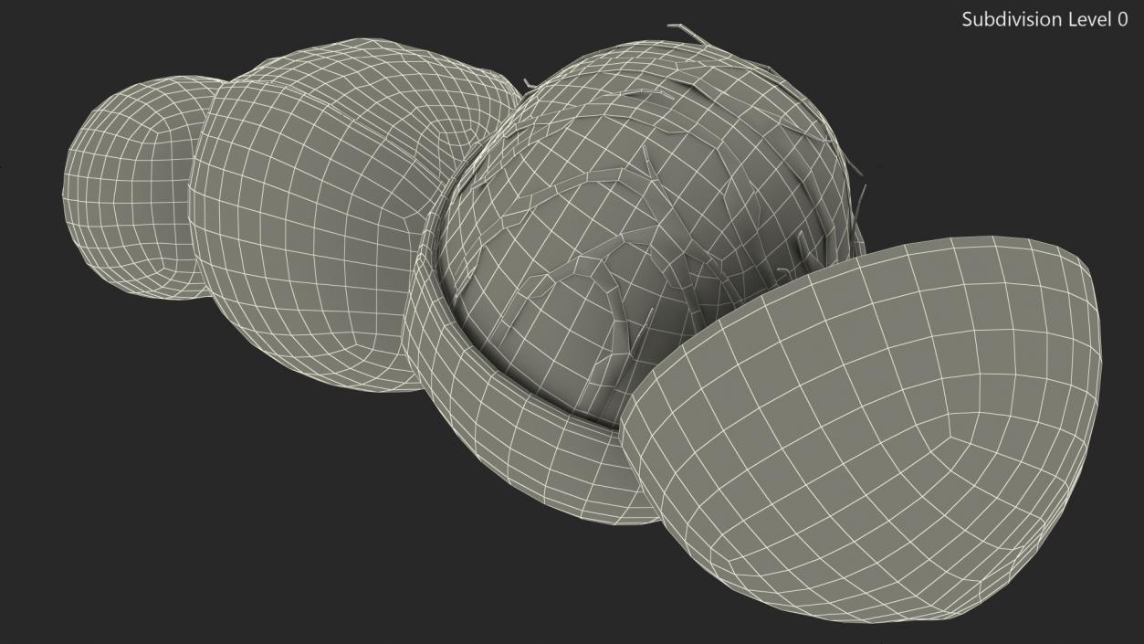 3D Shea Nuts Set model