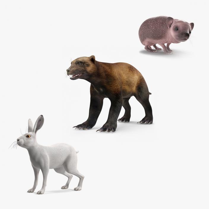 3D Land Mammals Collection model