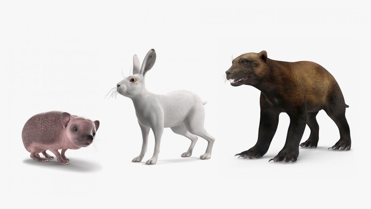 3D Land Mammals Collection model