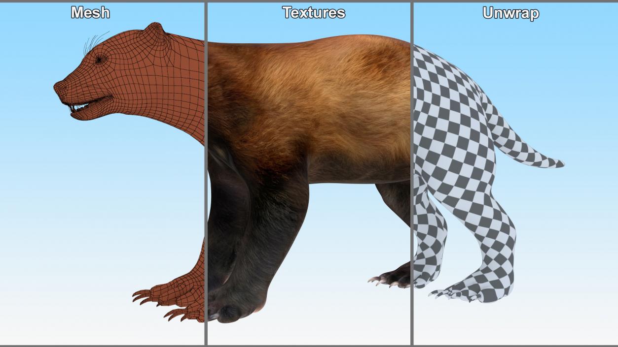 3D Land Mammals Collection model