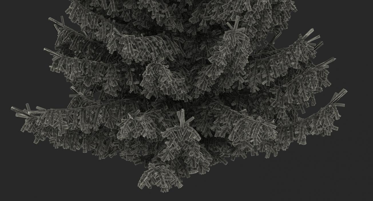 Serbian Spruce 3D model