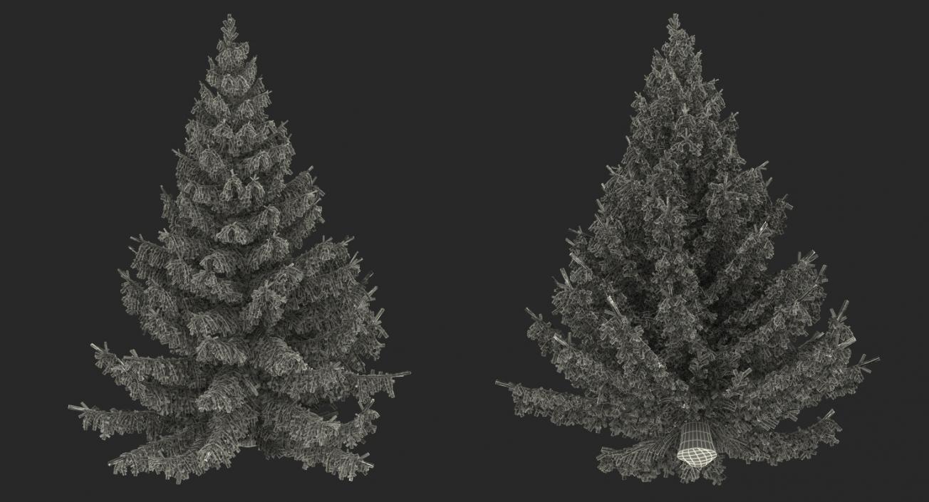 Serbian Spruce 3D model