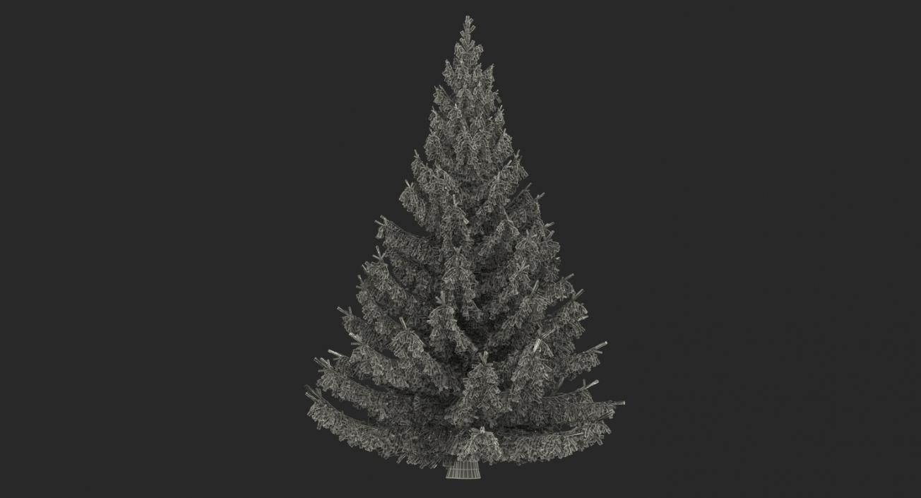 Serbian Spruce 3D model