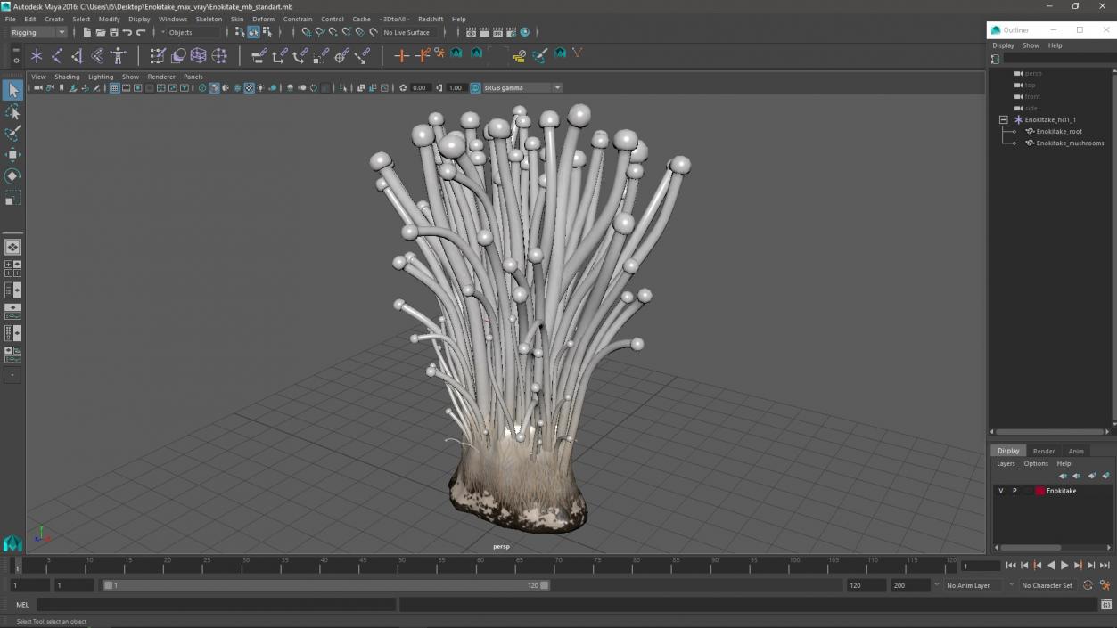 3D Enokitake 2