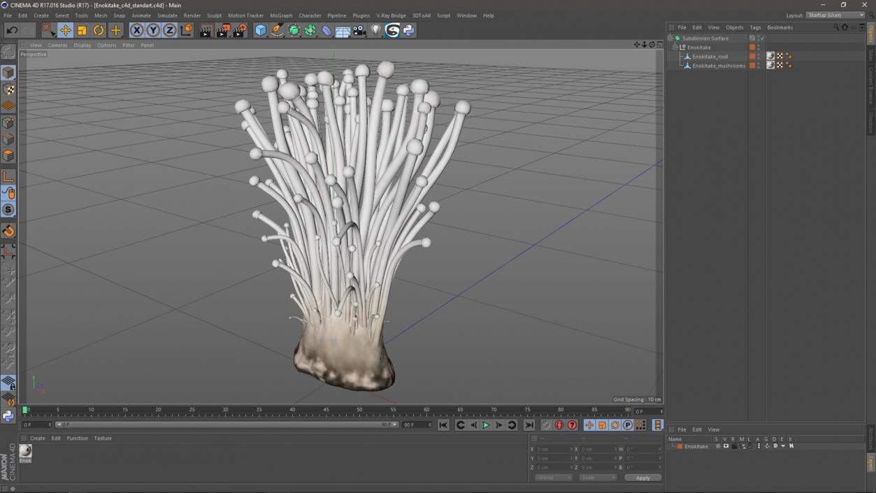 3D Enokitake 2