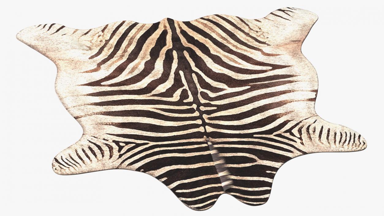 3D Zebra Hide Rug with Fur model