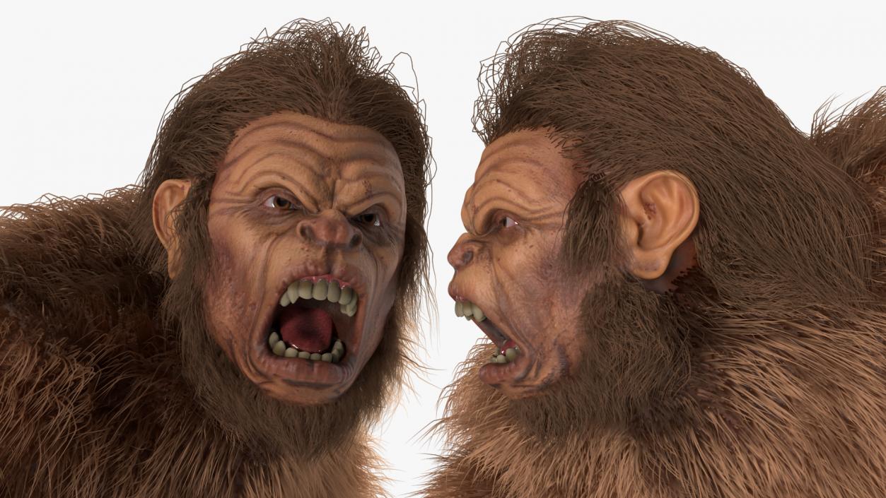 Aggressive Sasquatch Fur 3D model