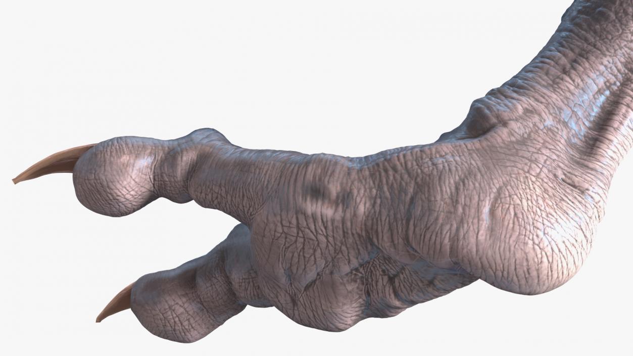 3D model Monster Creature Leg