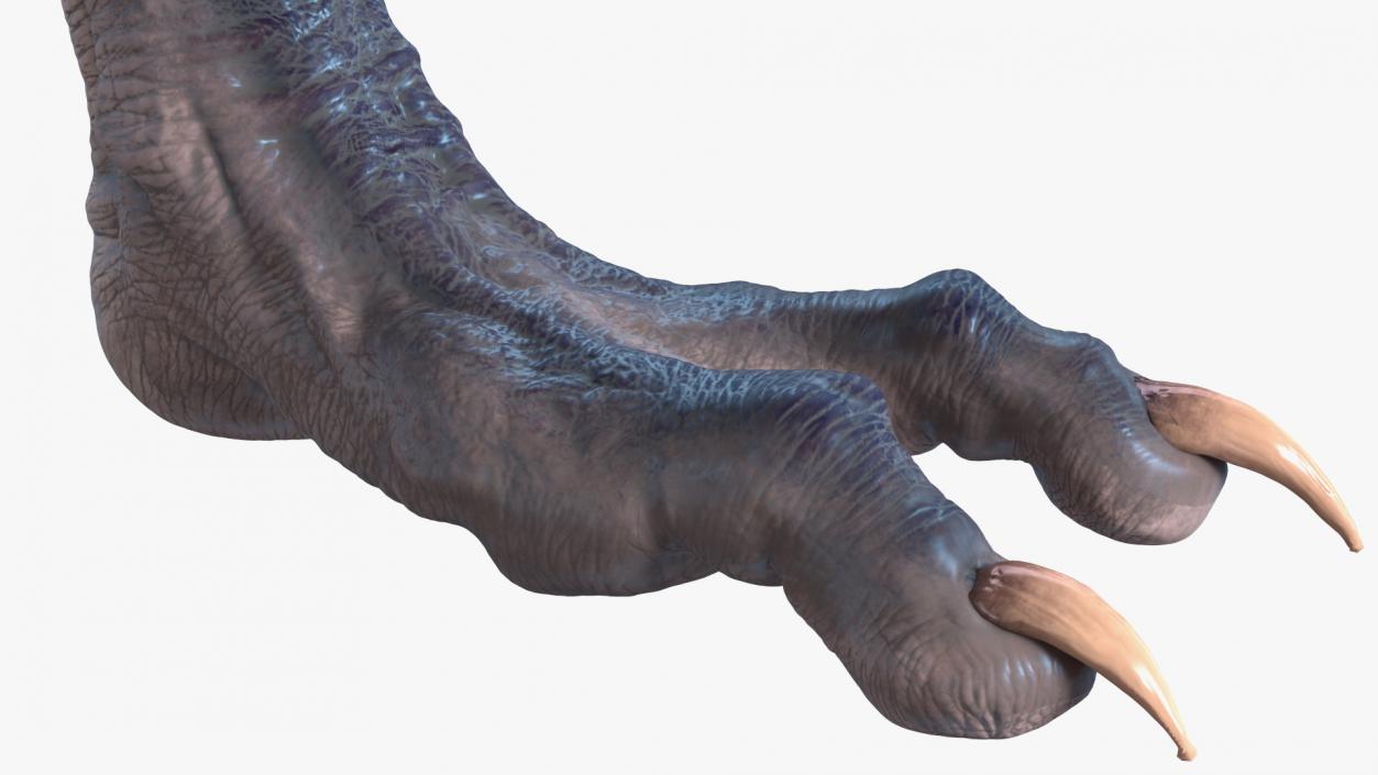 3D model Monster Creature Leg