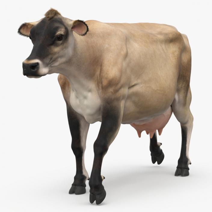 3D Mini Cow Goes Beige Fur model