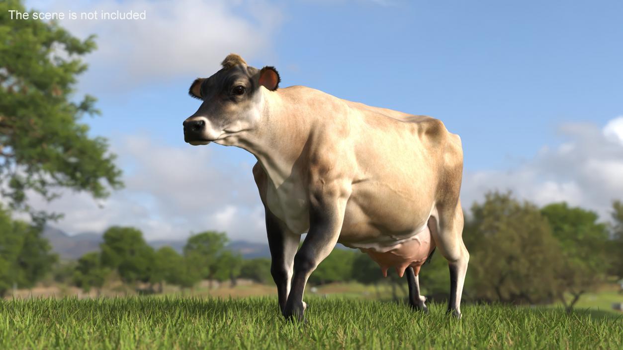 3D Mini Cow Goes Beige Fur model