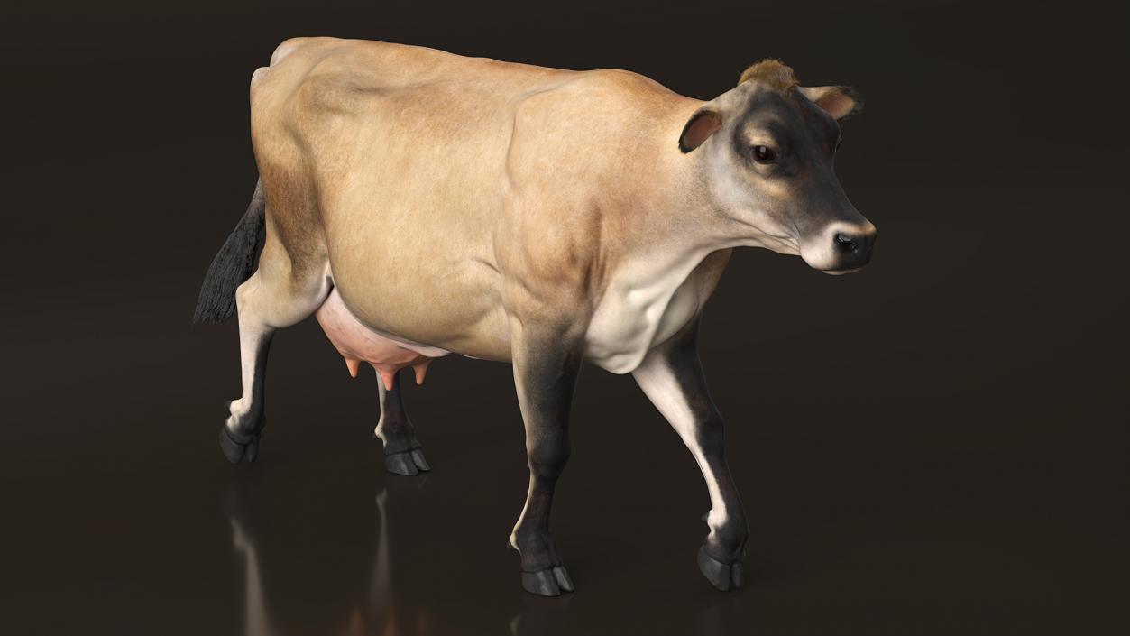 3D Mini Cow Goes Beige Fur model