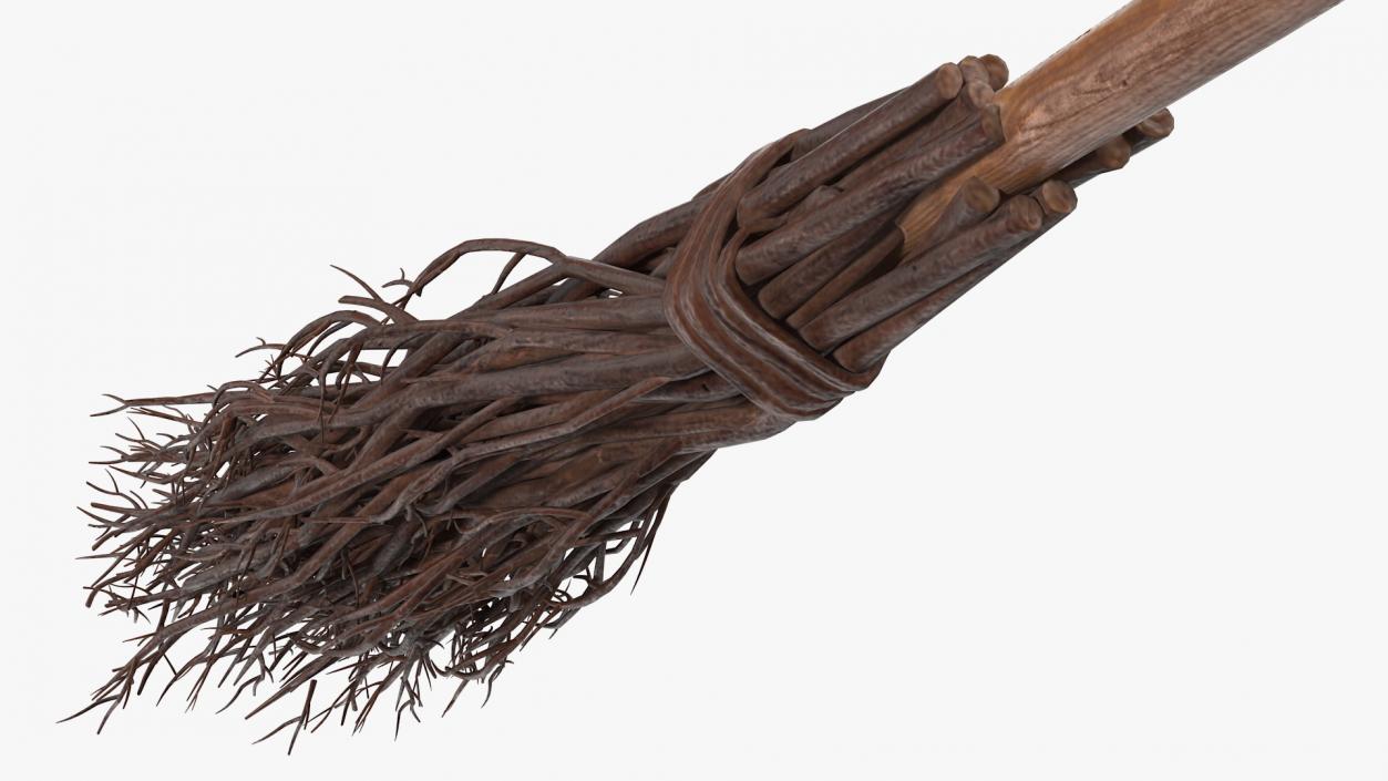 Classic Witch Broom 3D model