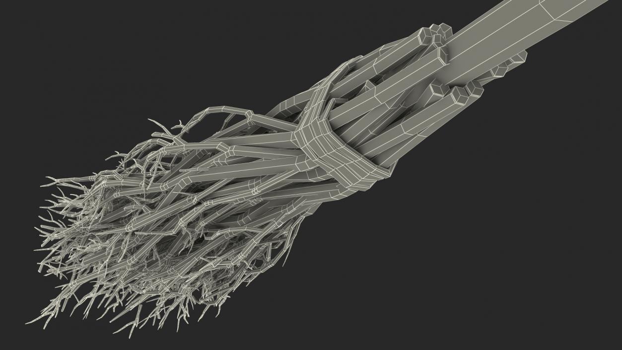 Classic Witch Broom 3D model