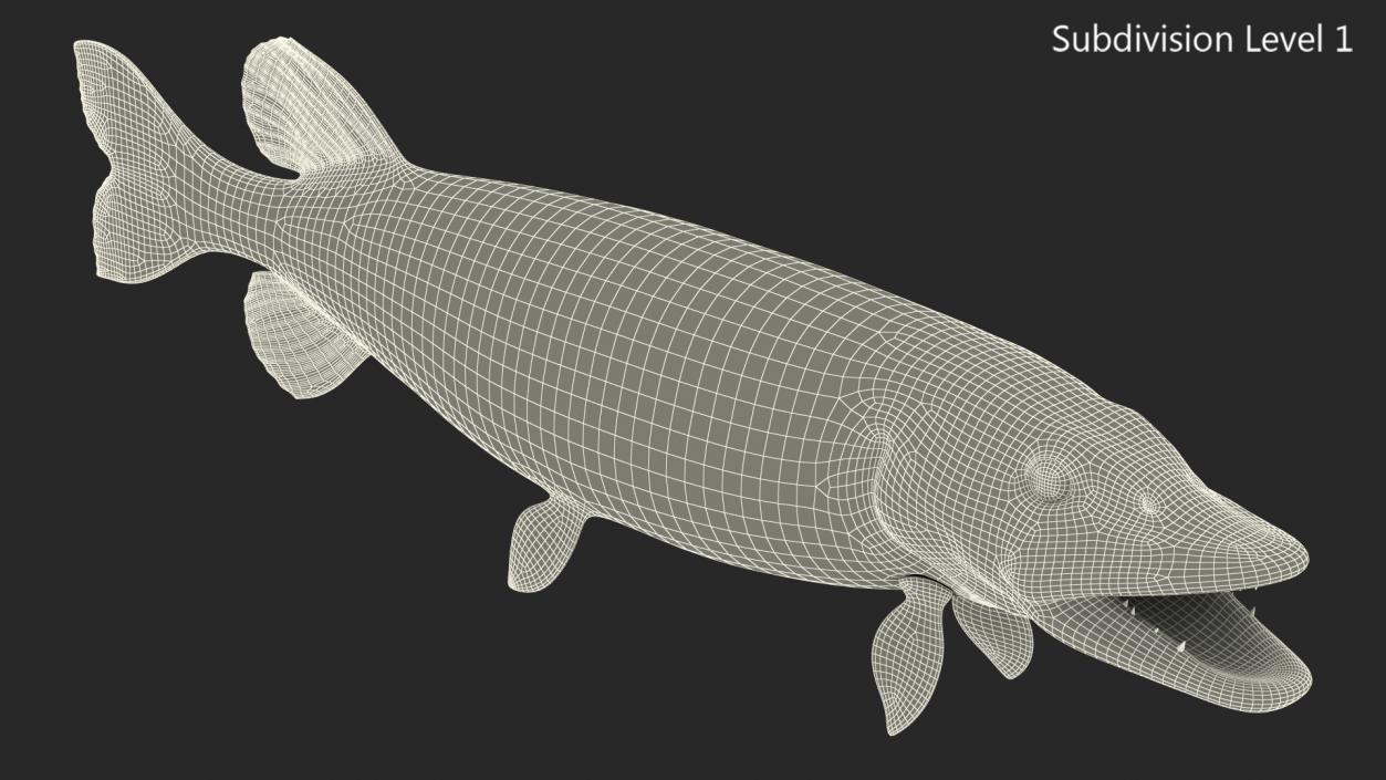 3D Northern Pike model