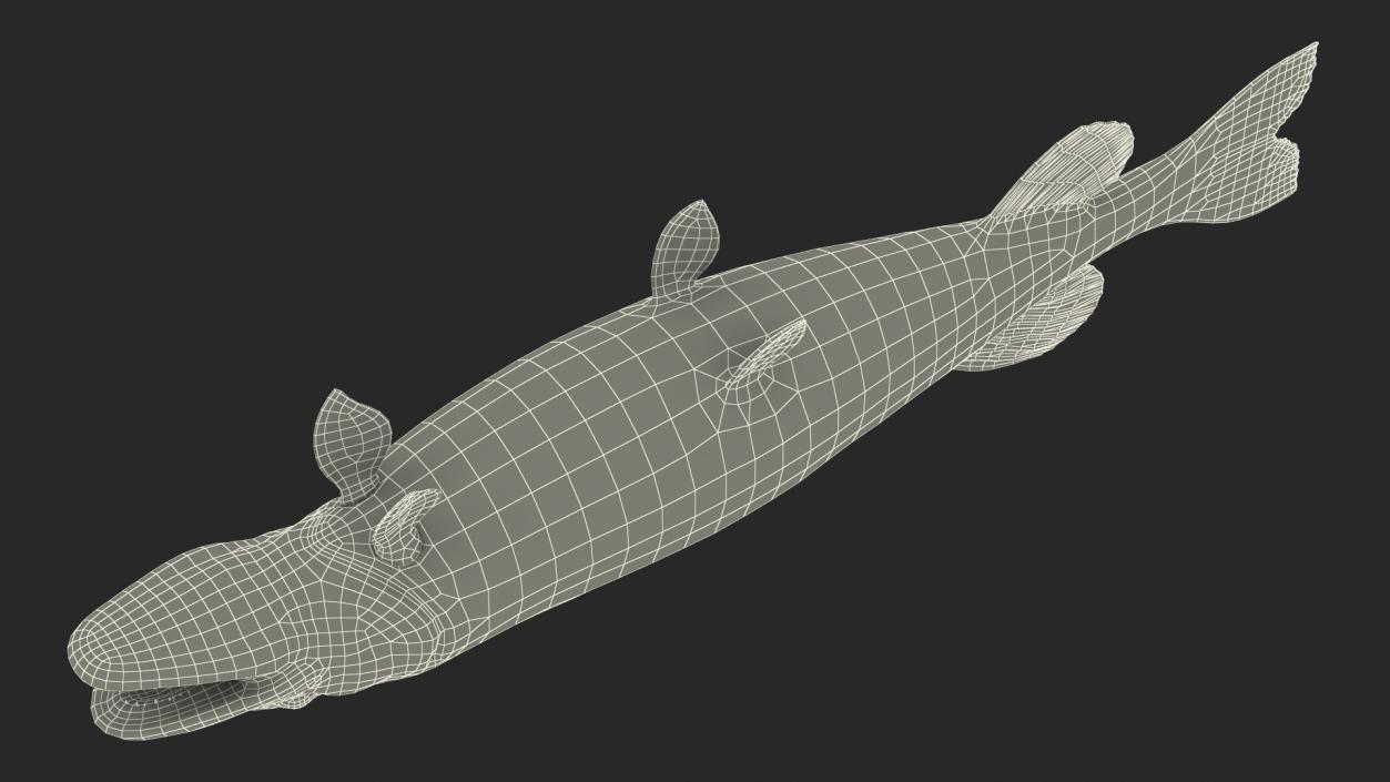 3D Northern Pike model