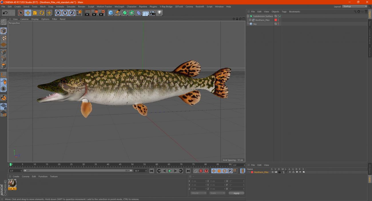 3D Northern Pike model