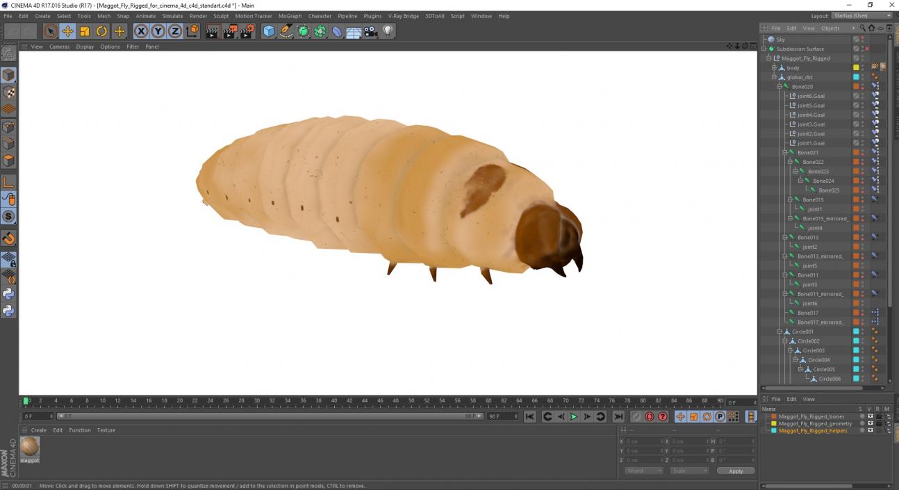 3D Maggot Fly Rigged for Cinema 4D