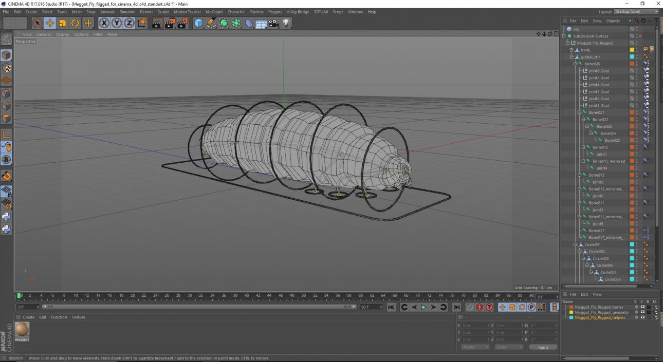 3D Maggot Fly Rigged for Cinema 4D