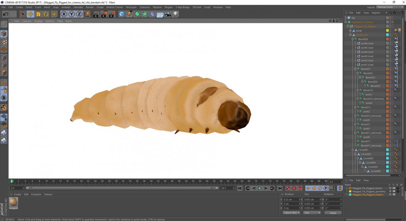 3D Maggot Fly Rigged for Cinema 4D