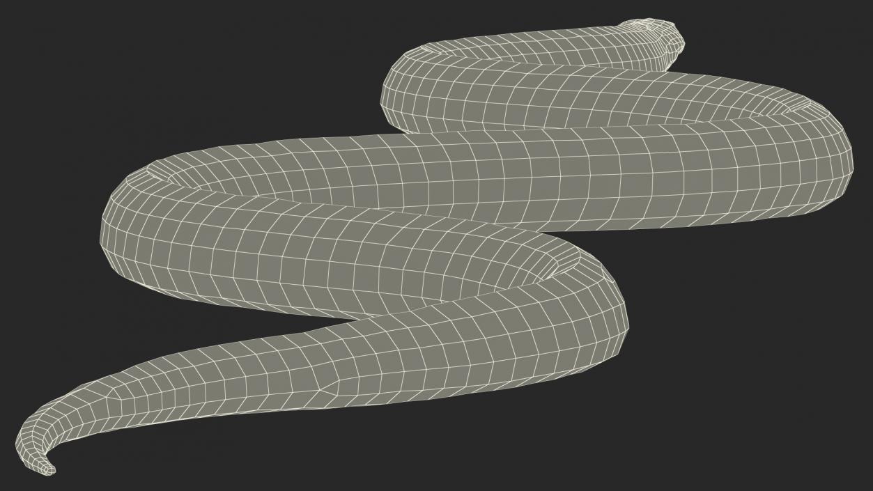 3D Eastern Kingsnake Rigged for Maya model