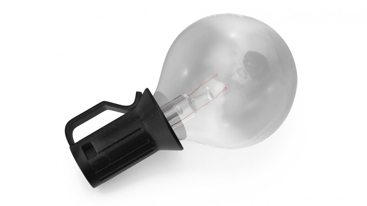 Edison Light Bulb 3D