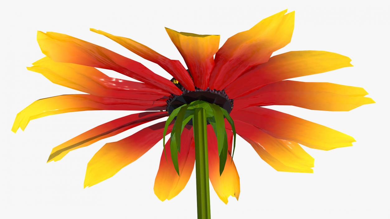 3D Black Eyed Susan Rudbeckia Hirta Flower Orange