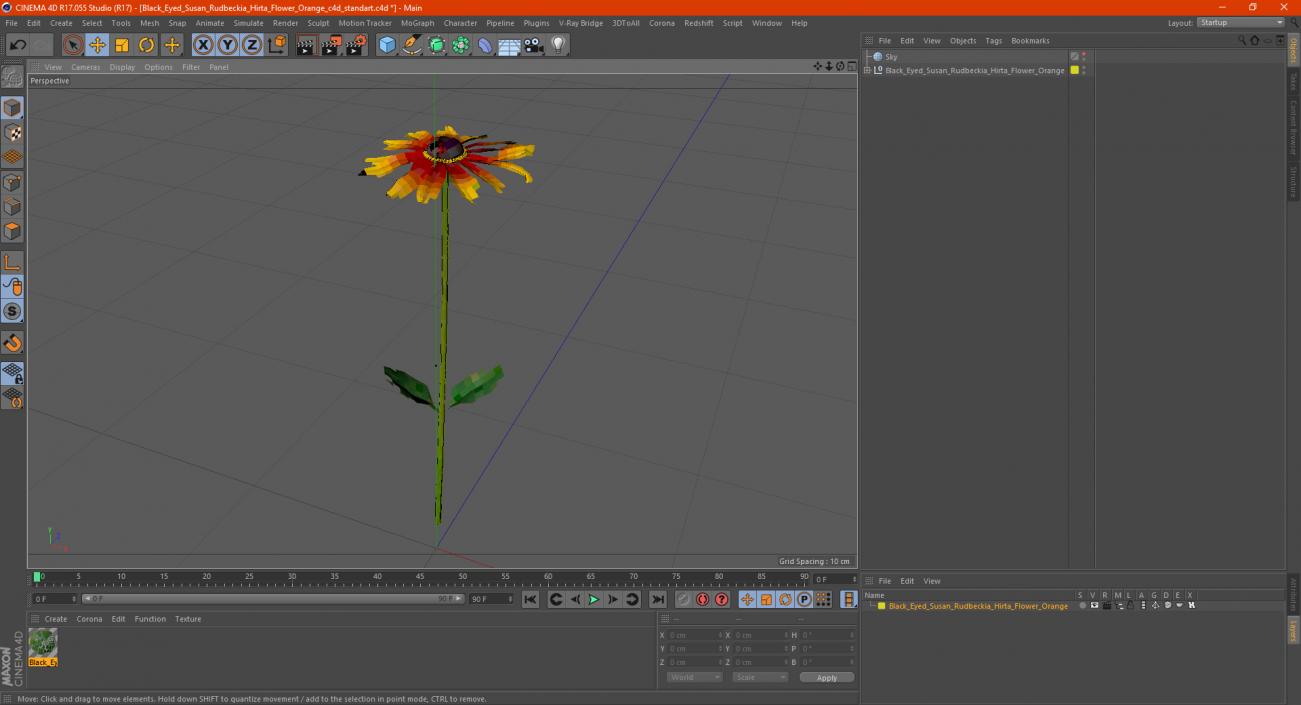 3D Black Eyed Susan Rudbeckia Hirta Flower Orange