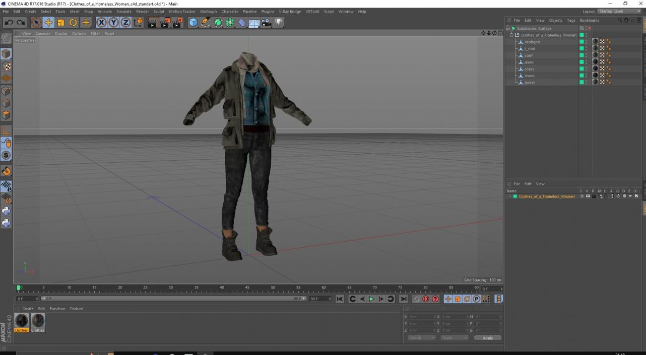 Clothes of a Homeless Woman 3D