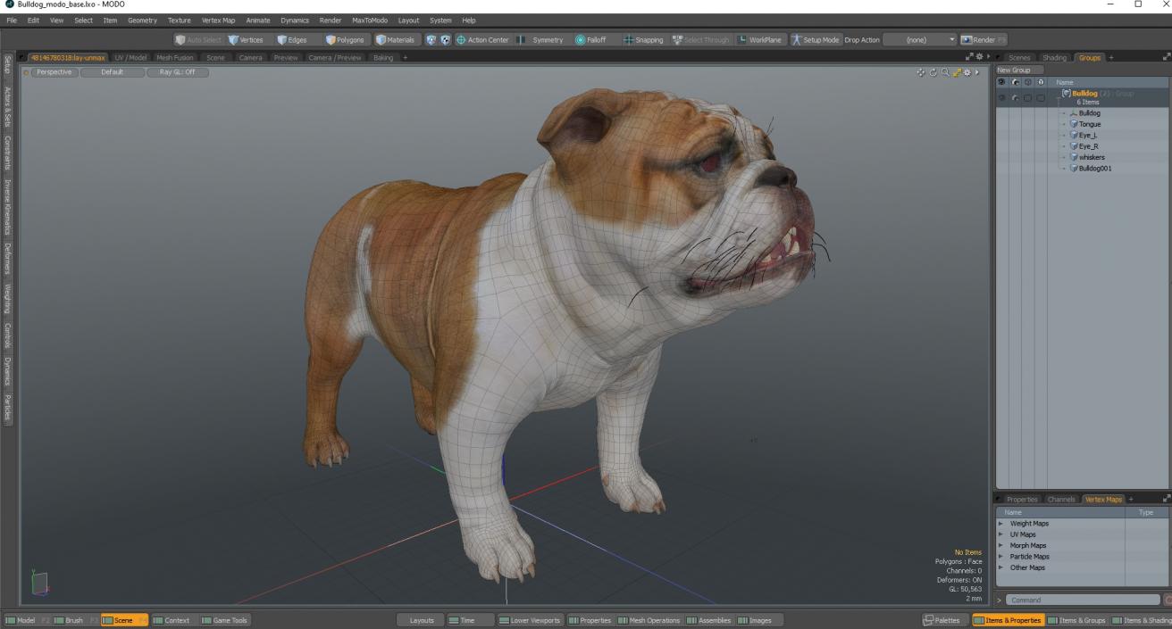 Bulldog 3D model