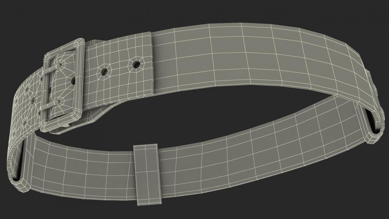 Duty Belt 3D model