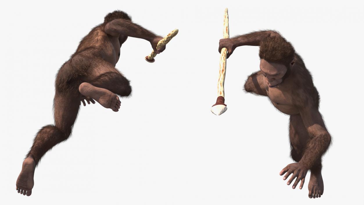 Homo Habilis with Spear Fur 3D