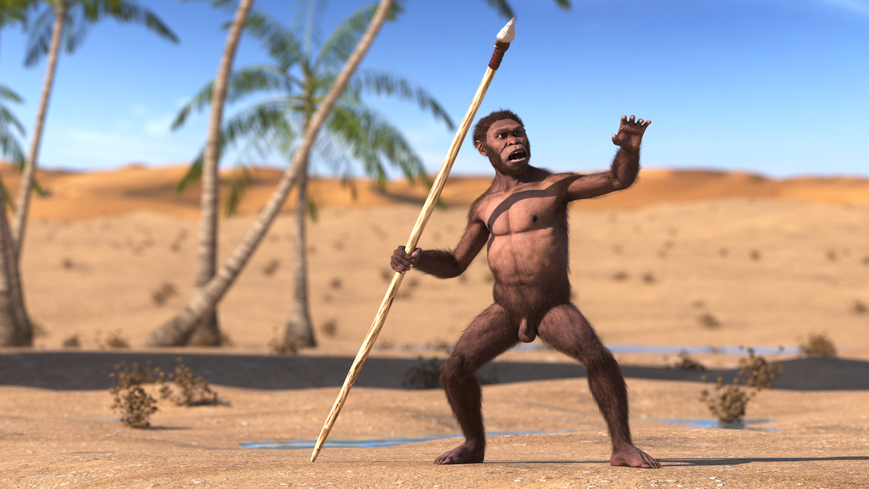 Homo Habilis with Spear Fur 3D