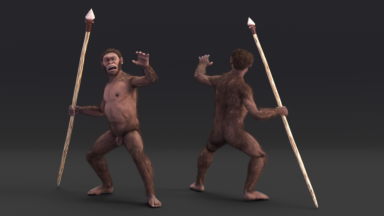 Homo Habilis with Spear Fur 3D