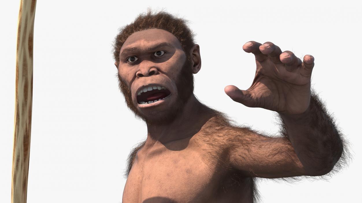 Homo Habilis with Spear Fur 3D