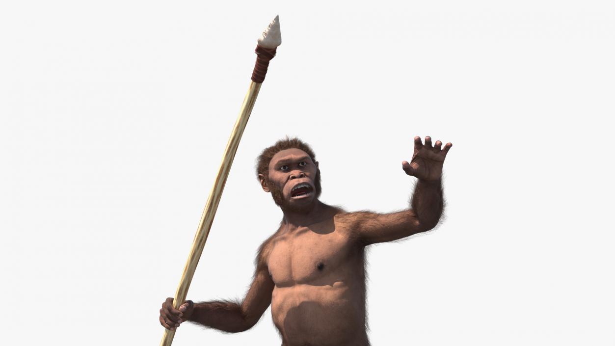 Homo Habilis with Spear Fur 3D