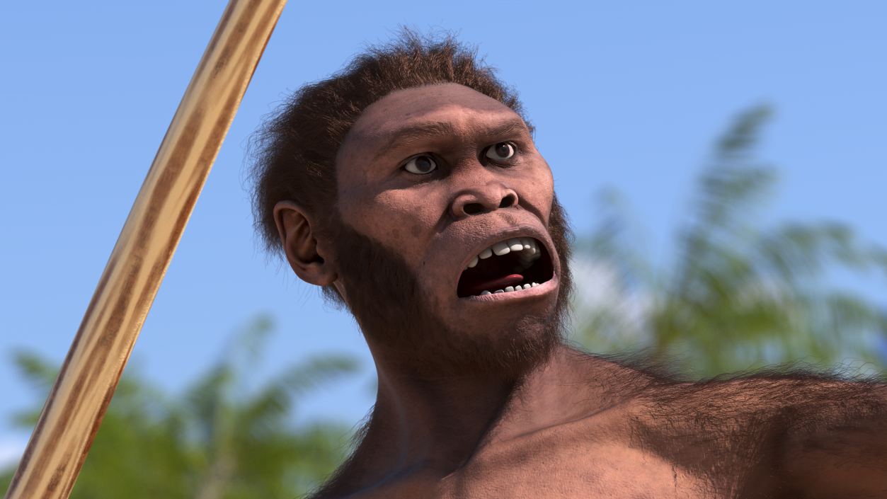 Homo Habilis with Spear Fur 3D