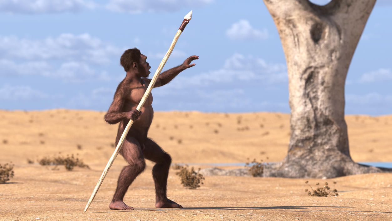 Homo Habilis with Spear Fur 3D