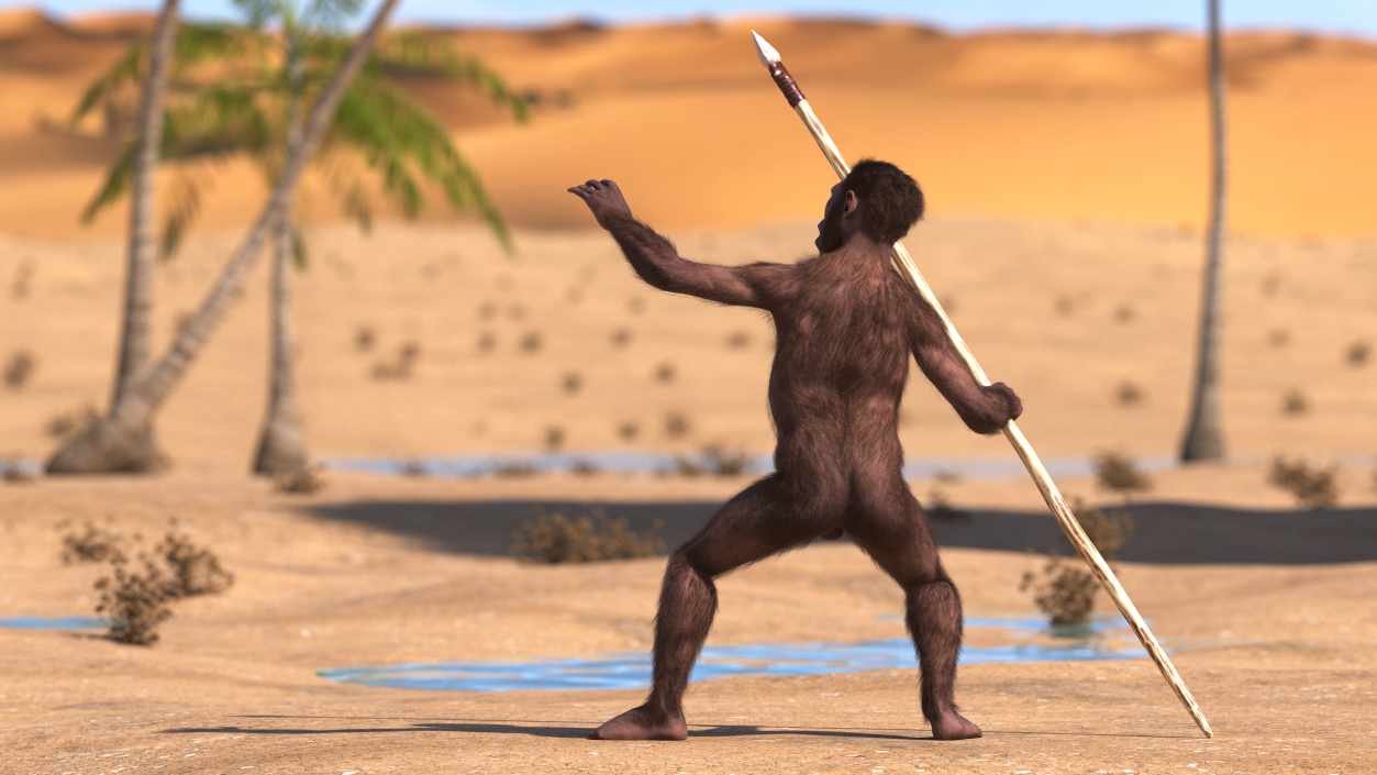 Homo Habilis with Spear Fur 3D